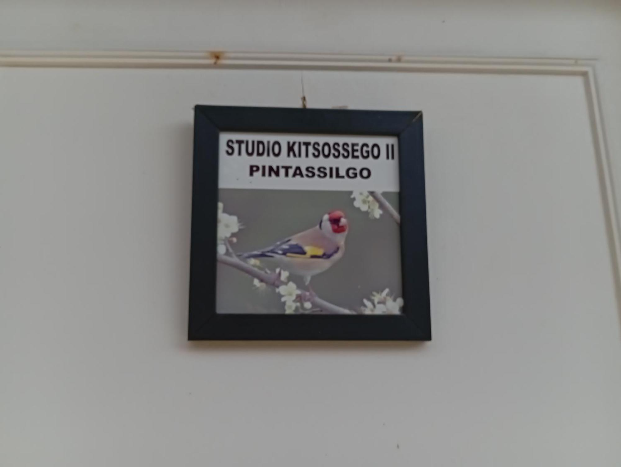 Studio Kitsossego Curitiba Exterior photo